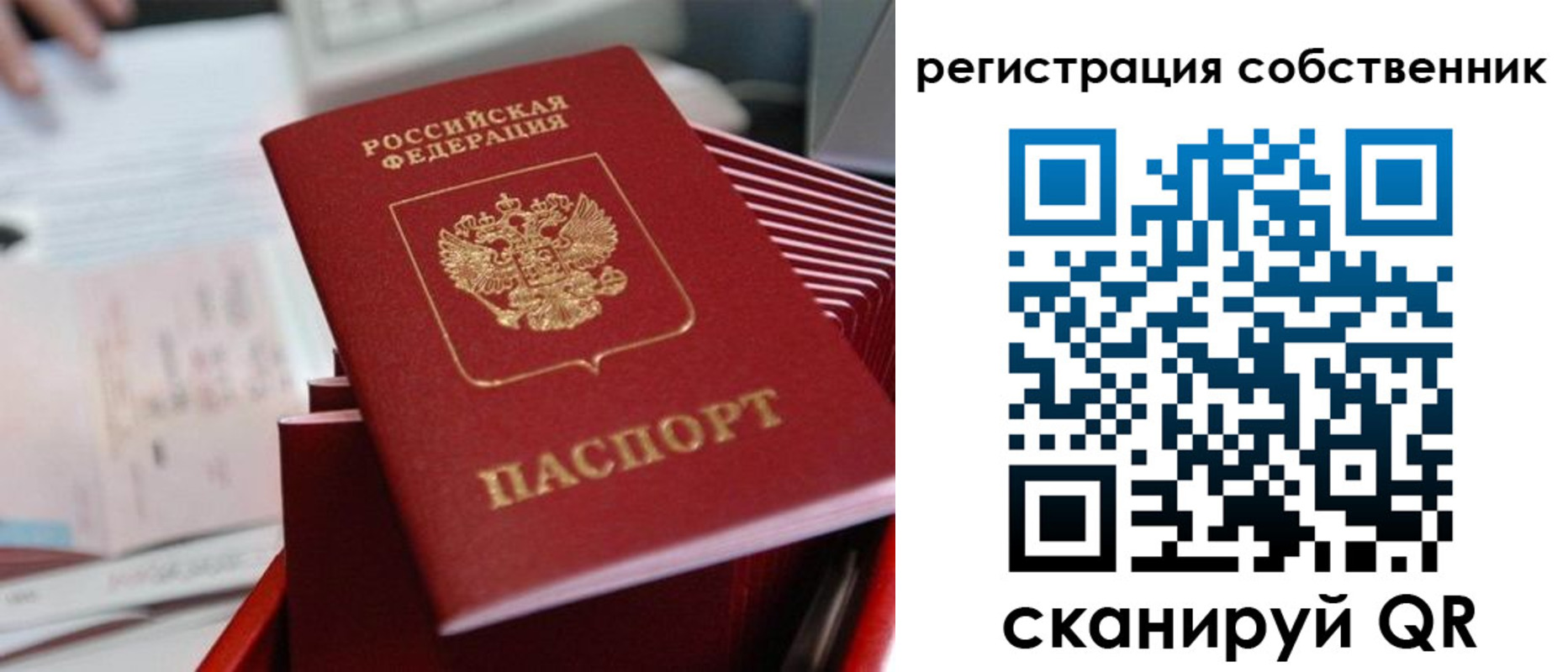 регистрация для школы в Лыткарино